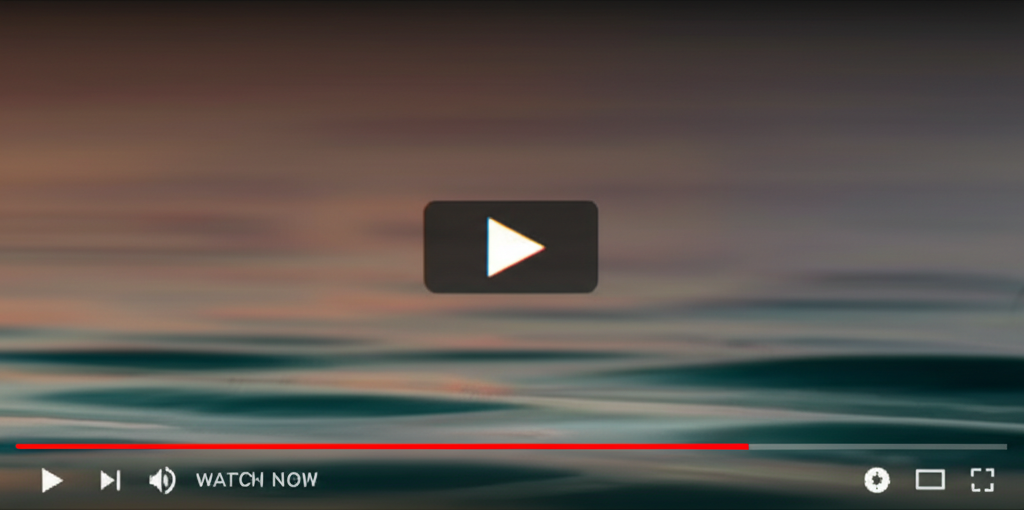 Bộ Video Hướng dẫn Toktoker Dành Cho Người Mới Bắt Đầu